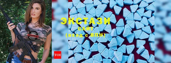 дживик Богородицк