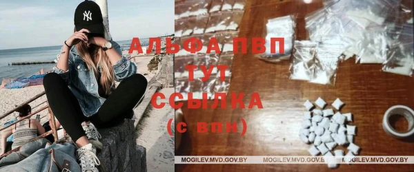 дживик Богородицк