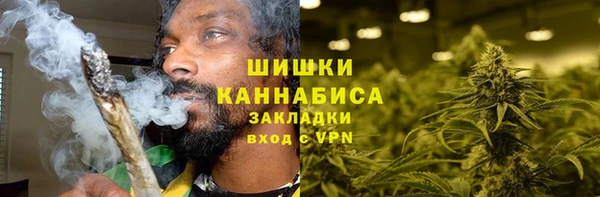 дживик Богородицк